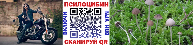 Галлюциногенные грибы Cubensis  Кубинка 