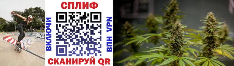 Марихуана гибрид  OMG ссылка  Кубинка  купить  